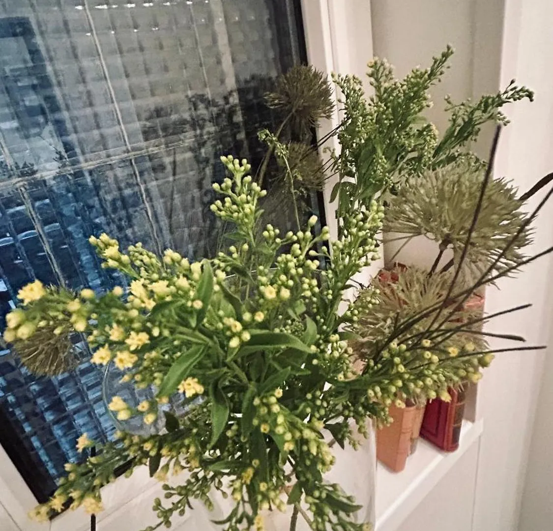 公寓 Little Oasis Close To The Opera 布达佩斯